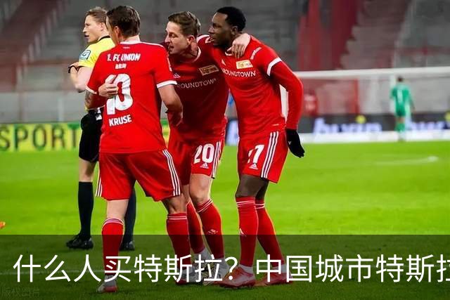 什么人买特斯拉？中国城市特斯拉销量排位：深圳第六，上海第二
